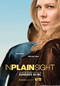 In Plain Sight